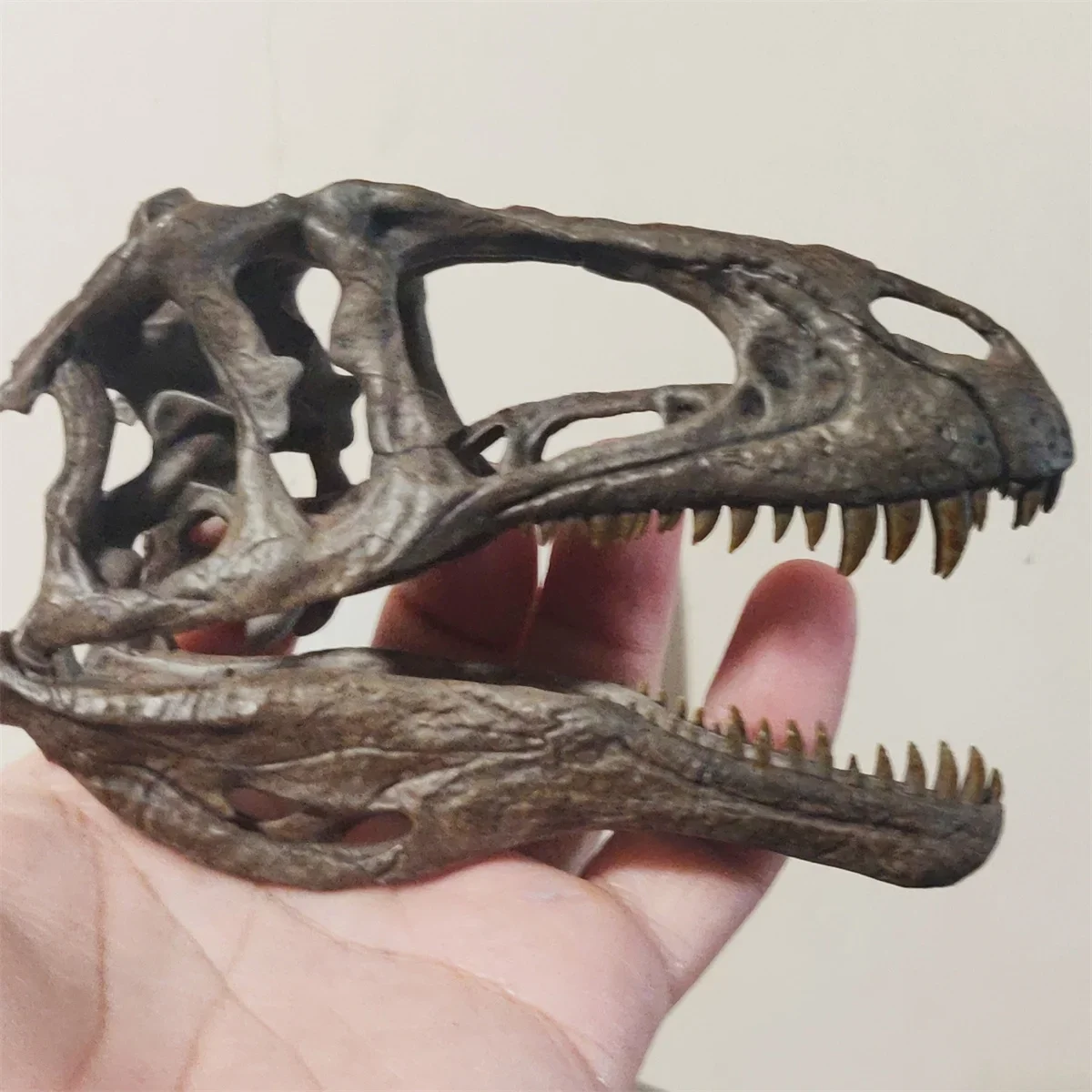 1/10 Acrocanthosaurus Skull Head Skeleton Model Carcharodontosauridae Dinosaur Figure Animal Collector Educational Decor GK Gift