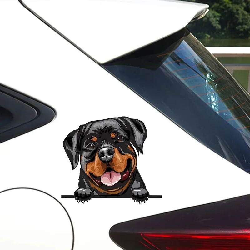 Smile Rottweiler Creative Vinyl Waterproof Decal Stickers For Cars, Laptops, Wall Windows, Bumper 15X13CM PVC KK