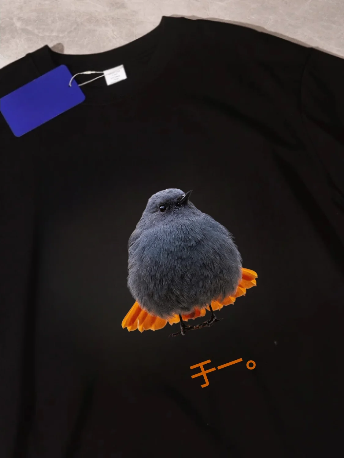 Loose Cotton Short Sleeve T-Shirt Red Tail Water  Bird Watching Fun Print Meme Image Casual Style for Men And Women