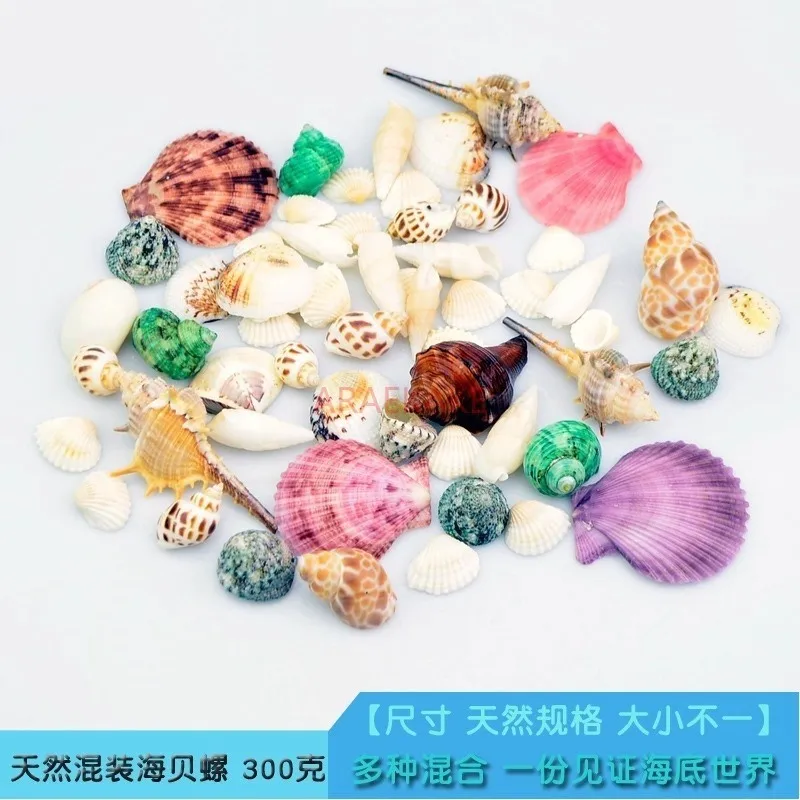 Aquatic Landscape Decoration Fish Tank Aquatic Box Set Decoration Bottom Natural Conch Shell Package 300g