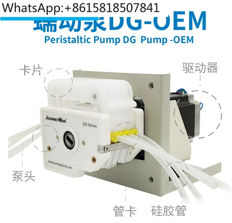 Peristaltic pump OEM-DG pump head multi-channel DG multi-tube peristaltic pump