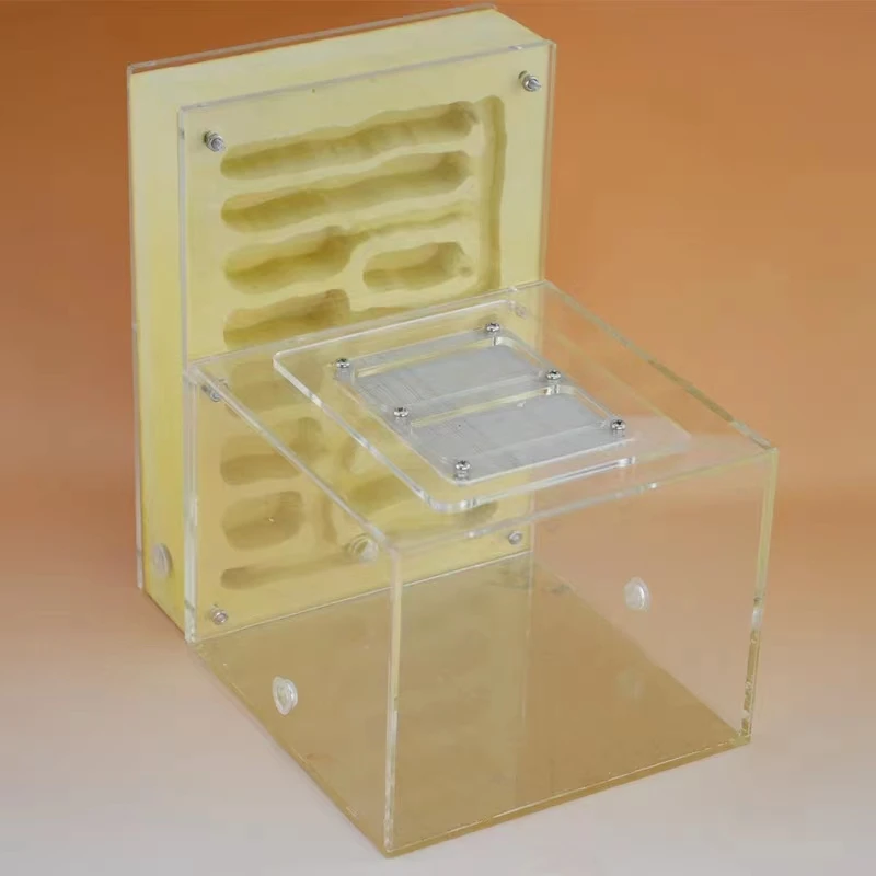 Large size acrylic ant farm nest Quee's formicarium for live ant breeding