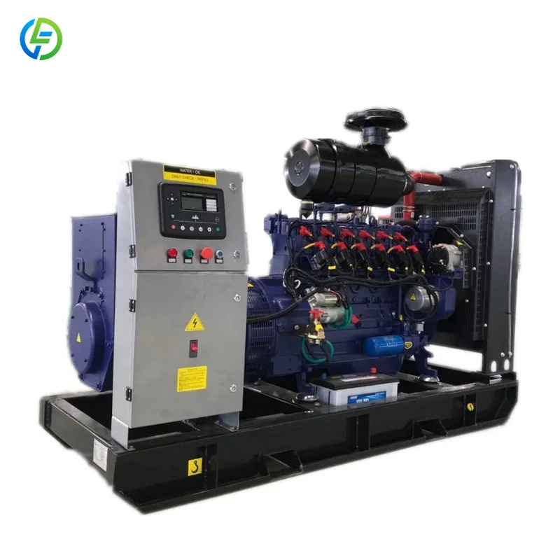 Multiple Power Multiple Models 40kw 50kw 80kw 100kw 120kw Natural Gas Power Generator Price FL Customized