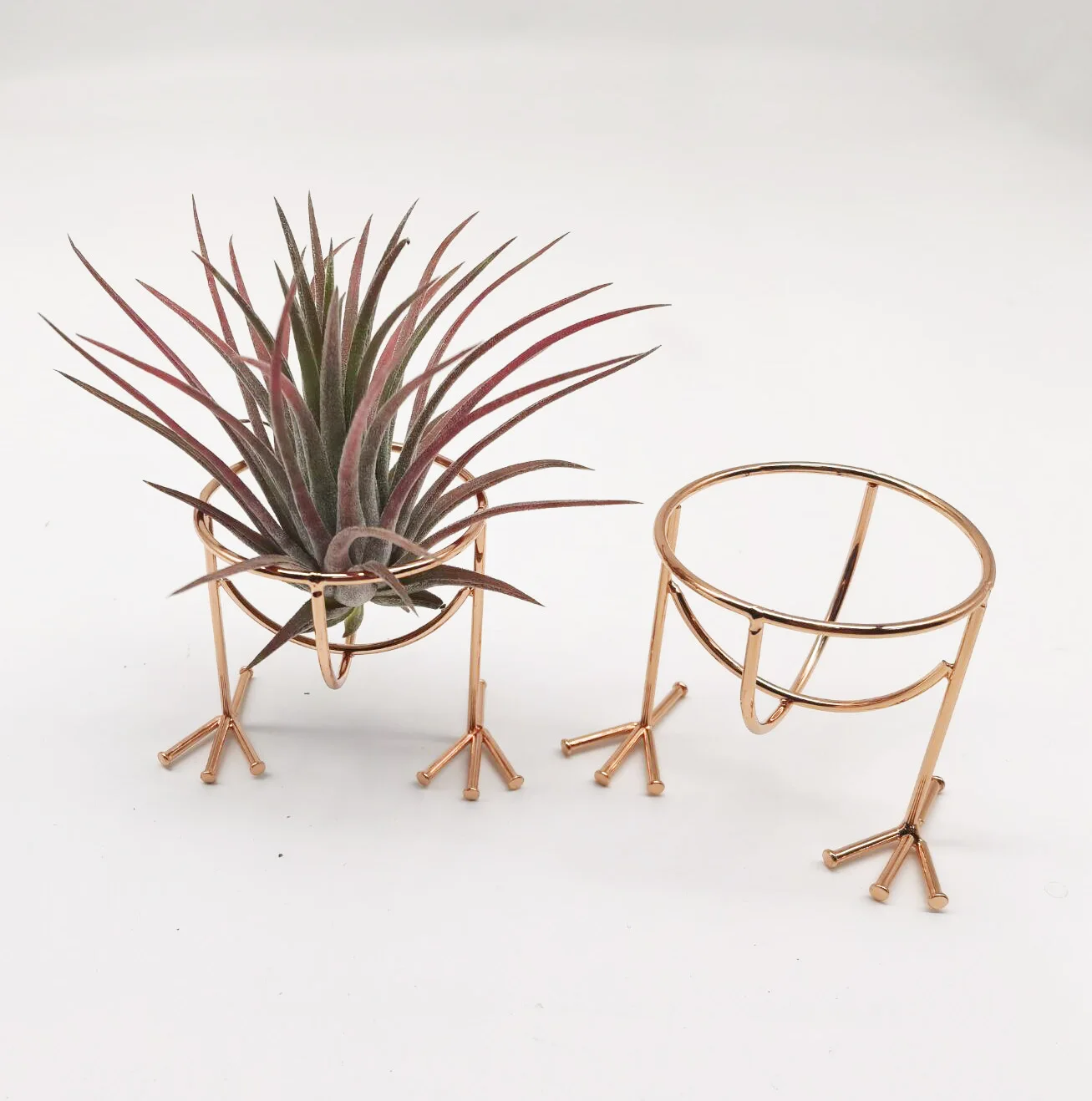 Pineapple Plants Stand Indoor Geometric Air Plant Shelves Iron Orchid Stand Beauty Egg Rack Flower Pot Stand