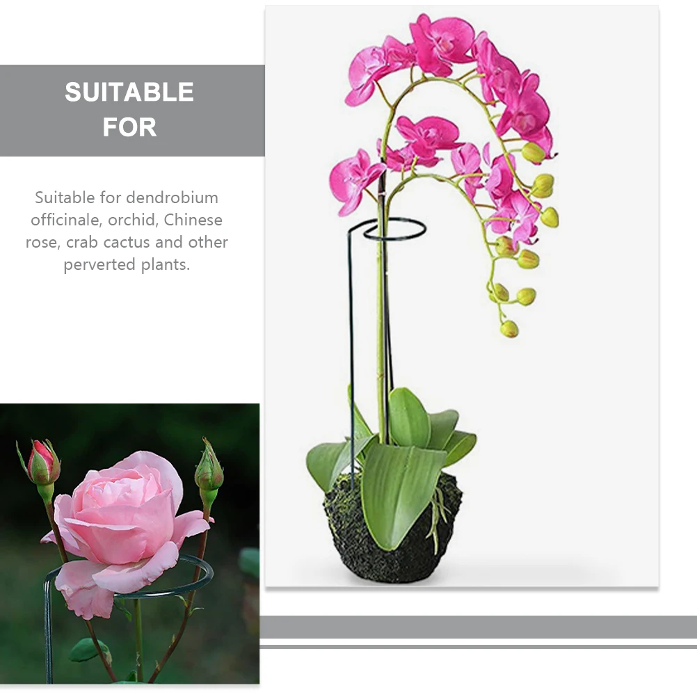 

Sturdy Plant Support Stakes Spiral Stem Cage for Garden Orchid Rose Climbing Frame Potted Trellis