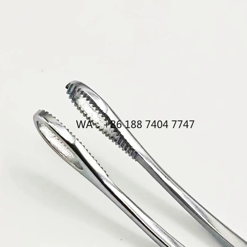 pinces-obstetricales-en-acier-inoxydable-dentees-droites-et-courbees-18-cm-avec-support-pour-pinces-droites-instrument-chirurgical