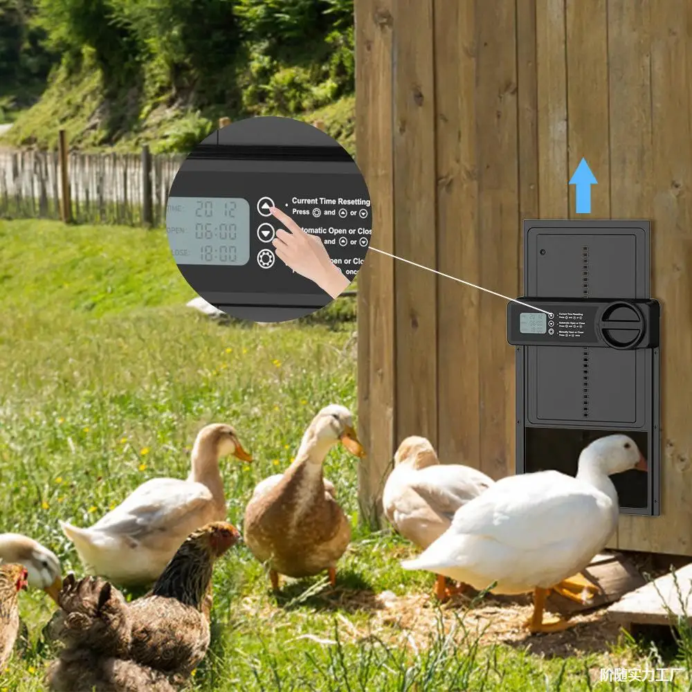 

waterproof aluminum alloy display screen intelligent timing lifting automatic pigeon chicken coop door chicken nest door