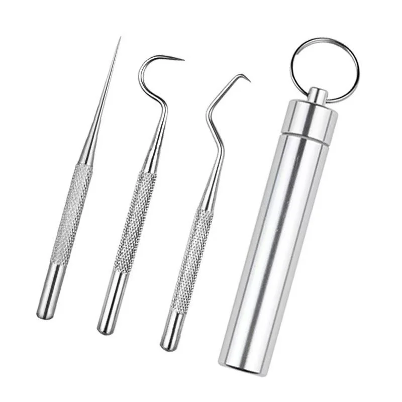 1set Stainless Steel Toothpick Set Tooth Flossing Reusable Toothpicks Portable Toothpick Floss Teeth Cleaner Oral Cleaning Tools