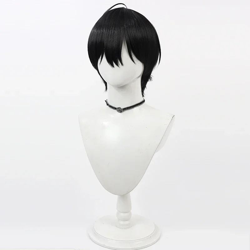 No Girls Cyberspace Suo Su Fang Parrucca Cosplay Gioco Anime Gioco di ruolo Halloween Party Performance Capelli sintetici