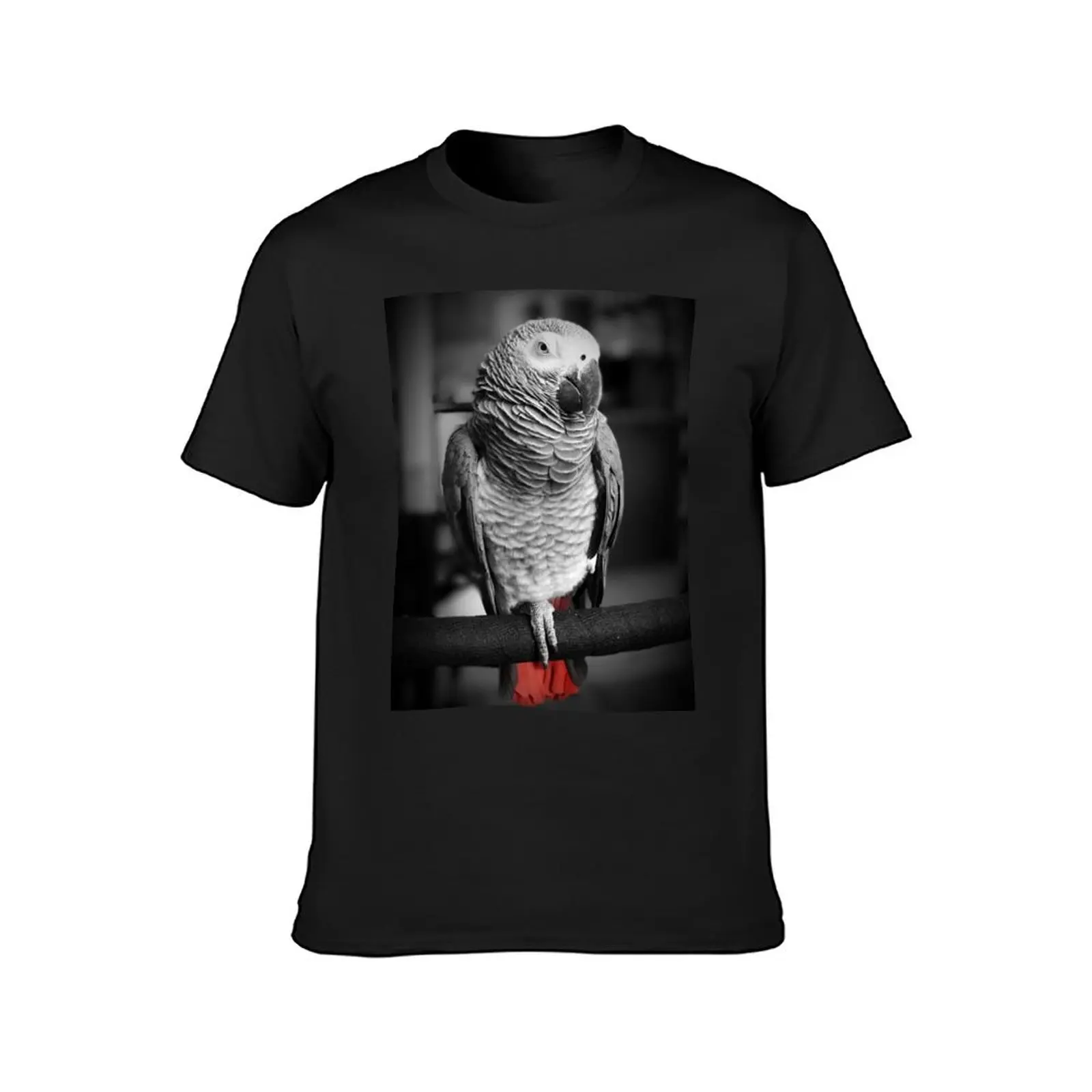 African Grey Parrot Photograph T-Shirt korean fashion sweat tops sweat shirts, men