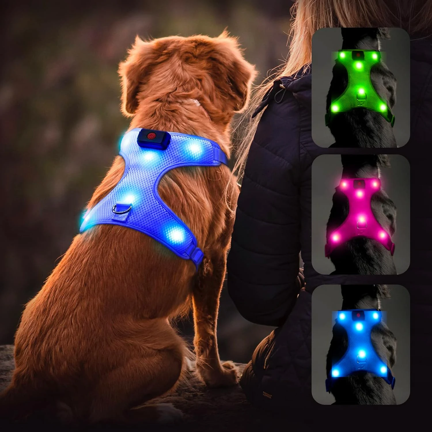 Illuminated Reflective Blue Glowing LED Dog Harness with Adjustable Soft Padded Design - No-Pull, USB Rechargeable - Ideal for S