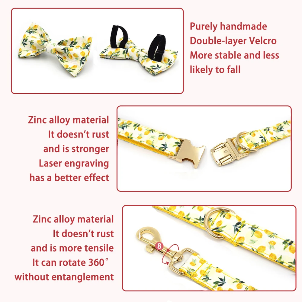 ปลอกคอสัตว์เลี้ยงส่วนบุคคลสําห - Luxury Bags Medium Size บทวิจารณ์และราคา