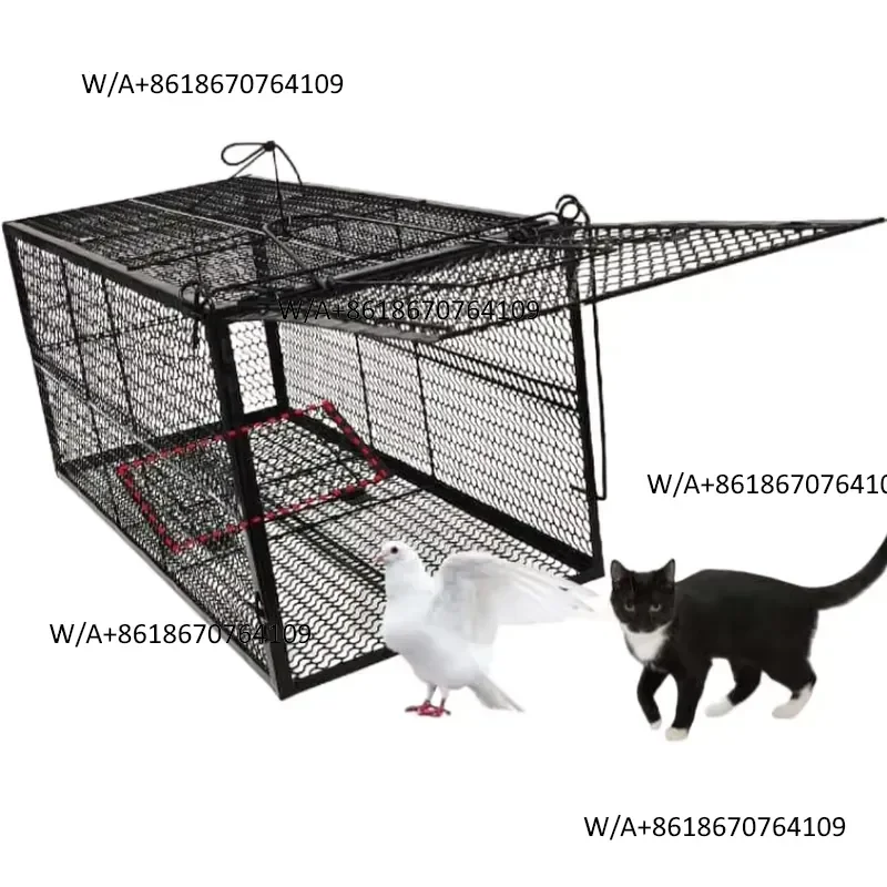 Large metal cage for catching cats and rabbits with an automatic gravity descent door