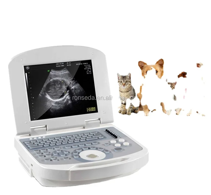 Veterinary Ultrasound Scanner Animals   Diagnosis