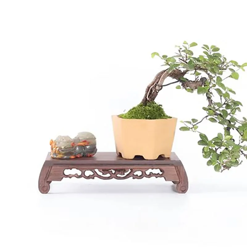 Six-shaped rectangular solid wood base, bonsai flower pot, Buddha statue, god of Wealth decoration, wooden pallet