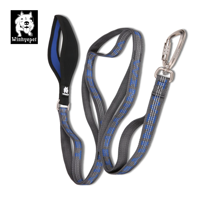 TRUELOVE Pet Leash Carabiner Traction Rope 3M Reflective Pull-resistant Nylon Webbing Big and Ferocious Dog Dedicated out YL1832