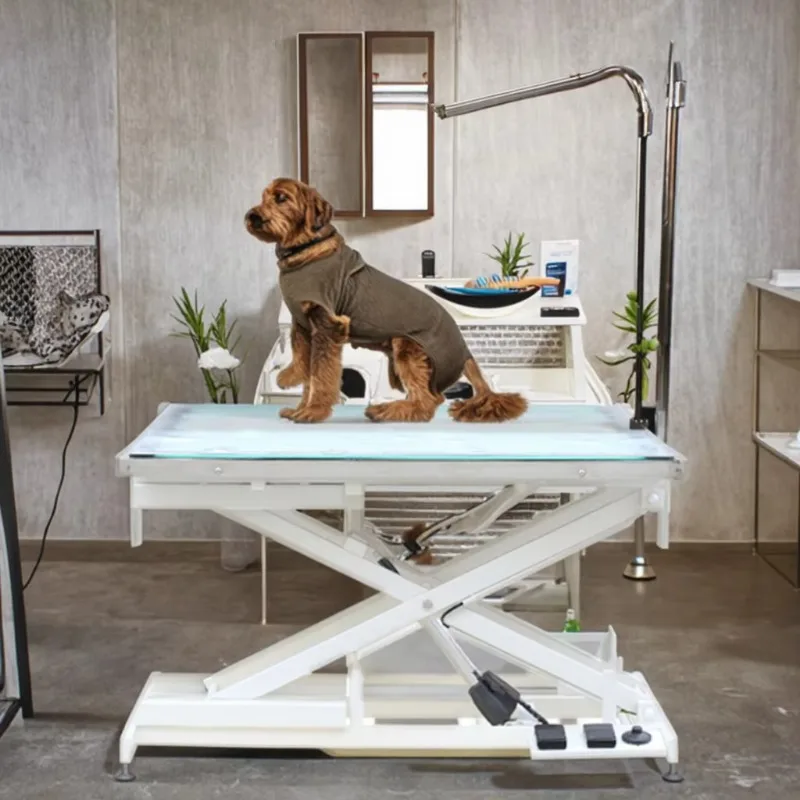 

Latest Medical Adjustable Electric Pet Grooming Table Pet Dog and Cat Grooming Table for Pet Care and Supplies