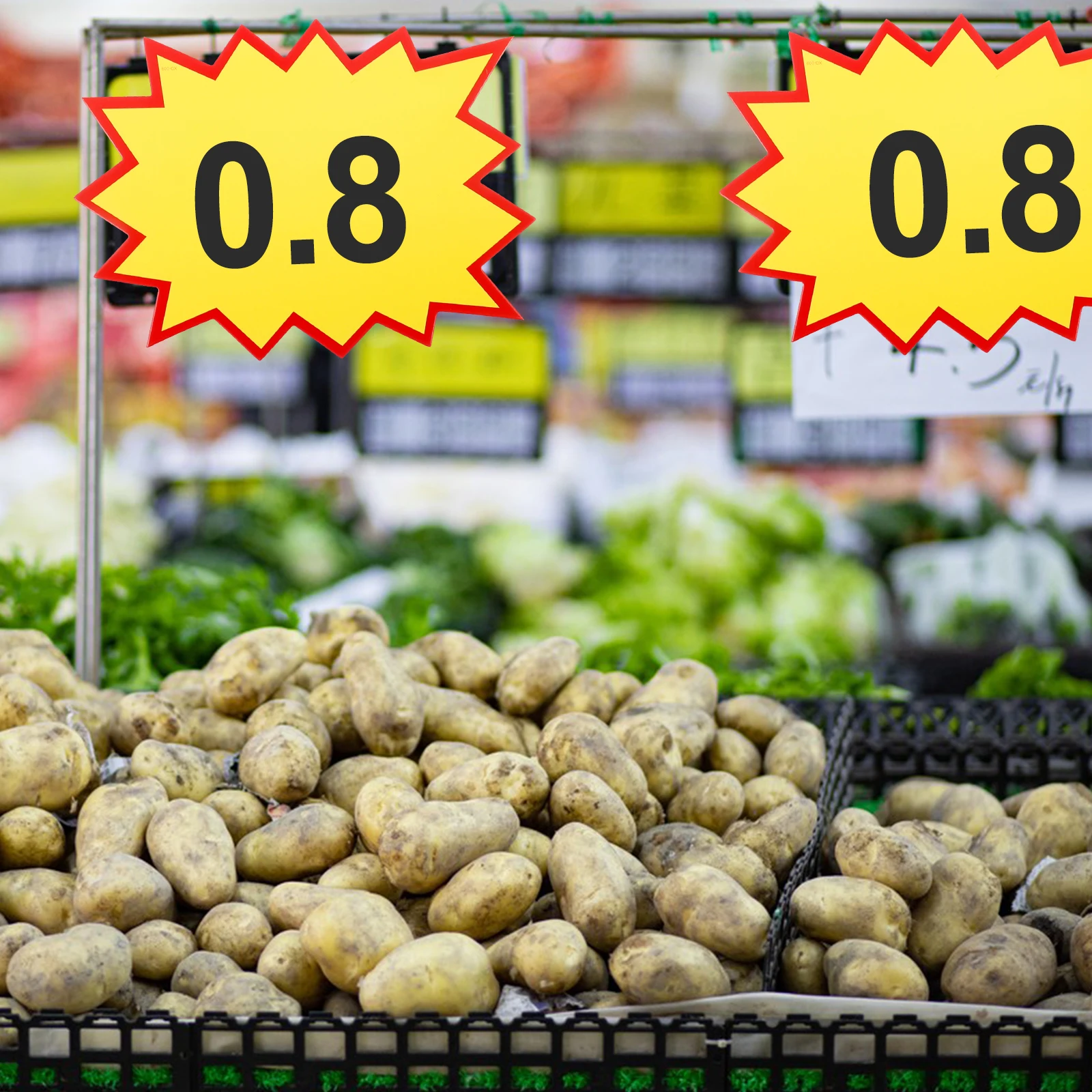 100 Pcs Tag Supplies Stickers Tags Signs Display Stand Lable Holder Label