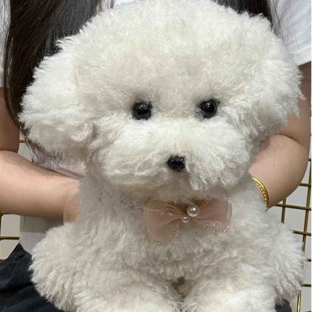 Cute Simulation Curly Plush Toy para Meninas, Bichon Dog, Vida Real, Kawaii, Presente de Aniversário, Namorada Acessórios