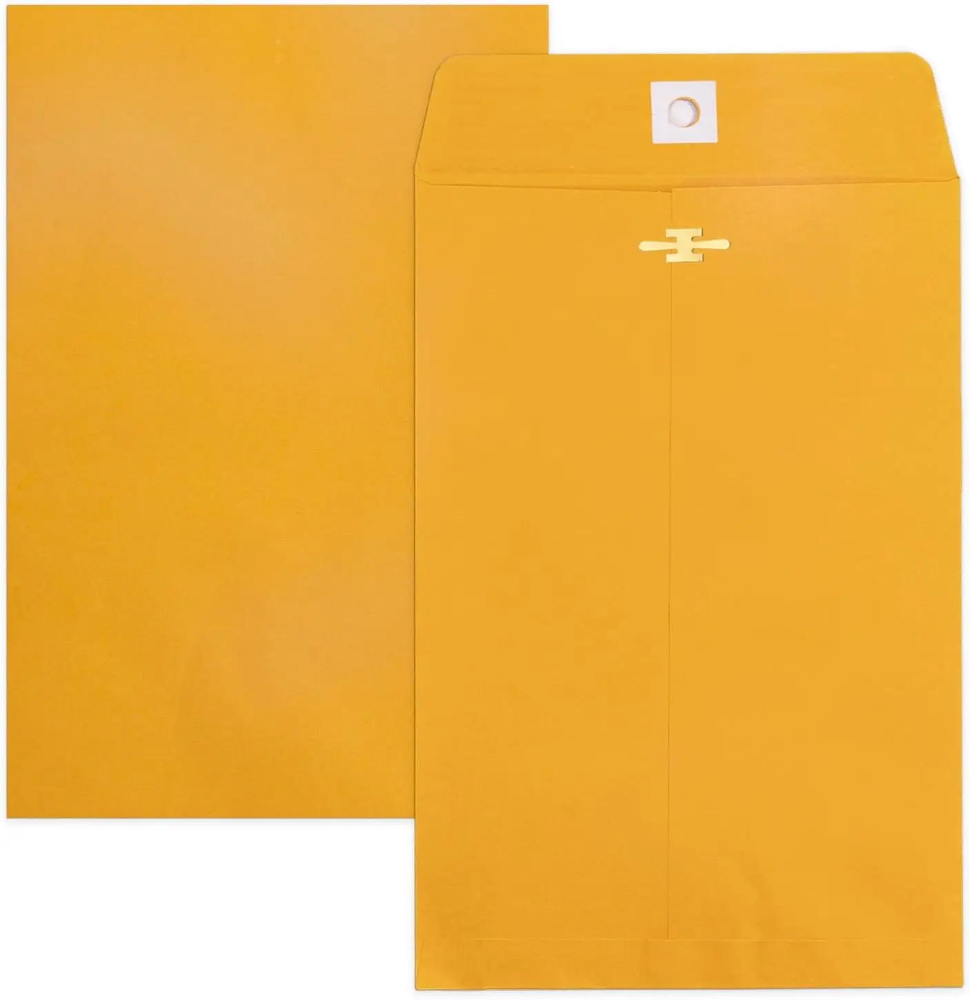 

6x9 Clasp Envelopes 20 Pack, Brown Kraft Mailing Envelopes with Metal Clasp and Gummed Seal for Documents Photos