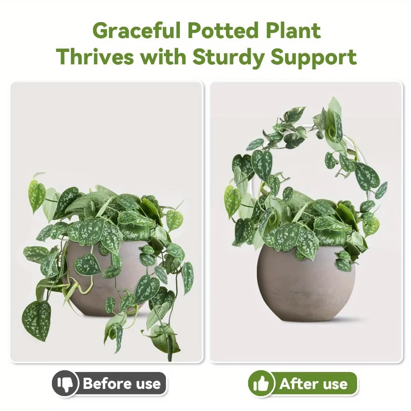 

2PC round Transparent Acrylic Plant Stand Clear Stands for Small Climbing Plants Indoor And Outdoor Use
