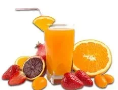 果物と野菜のジューサー用ステンレス鋼スクリュープレス