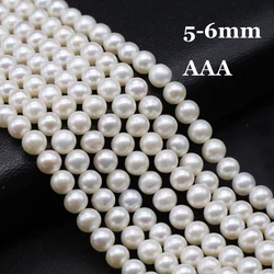 AAA 5-6mm High Quality Natural Freshwater Pearls Potato Shape Loose Spacer Beads for Jewelry Making DIY Necklace Accessories
