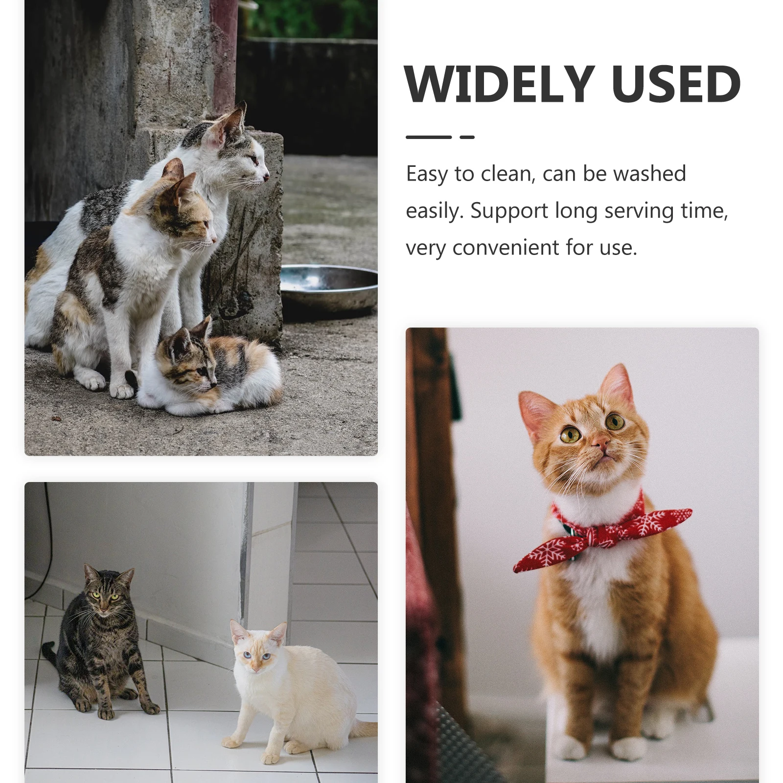 

4pcs Stainless Steel Cat Premium Durable Pet Food Water Easy Clean Residue-Free Household Kitten Bowls Wear-Resistant Pet