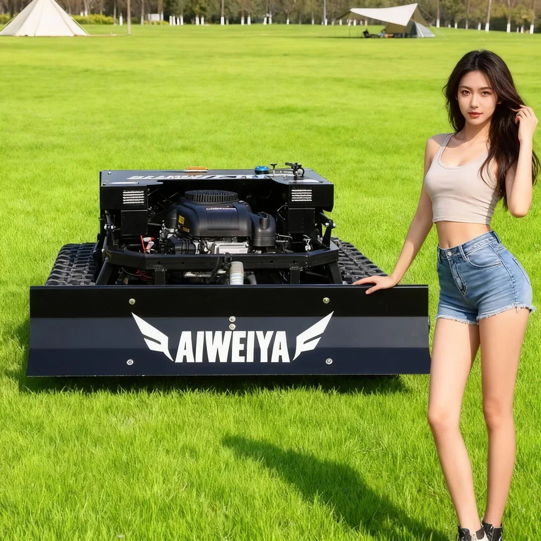 

Customized CE/EPA Certified 2 in 1 Mowing Snow Shoveling Lawn Mower Core Engine Motor Component One-On-One Beauty Sales