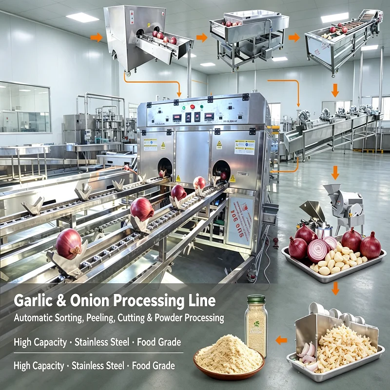 Garlic Onion Processing Line Automatic Peeling Sorting Equipment For Ginger Powder Paste Manufacturing Customized