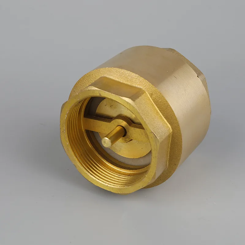 Brass Thread In-Line Spring Check Valve 1/2