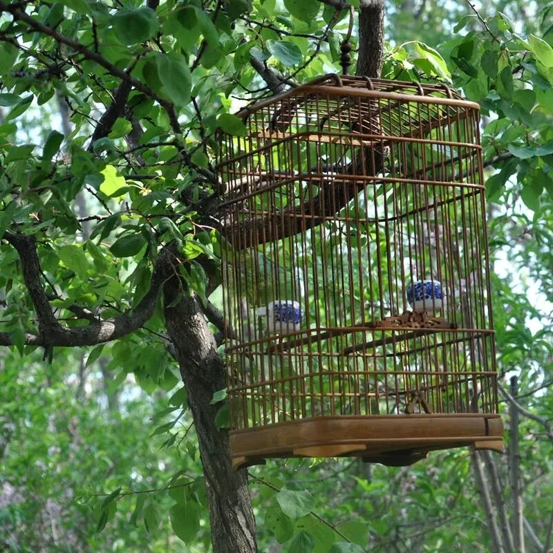 Outdoors Luxury Wooden Bird Cages Budgie Park Carrier Large Bird Cages Canary Voladera Para Pajaros Jaulas Pet Products WZ50BC