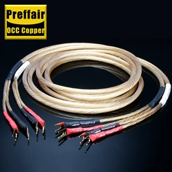 14AWG Audiophile Speaker Cable OCC Silver Plated Audio Cable Biwire LoudSpeaker Wire For Amplifier Subwoofer CD Audio DAC