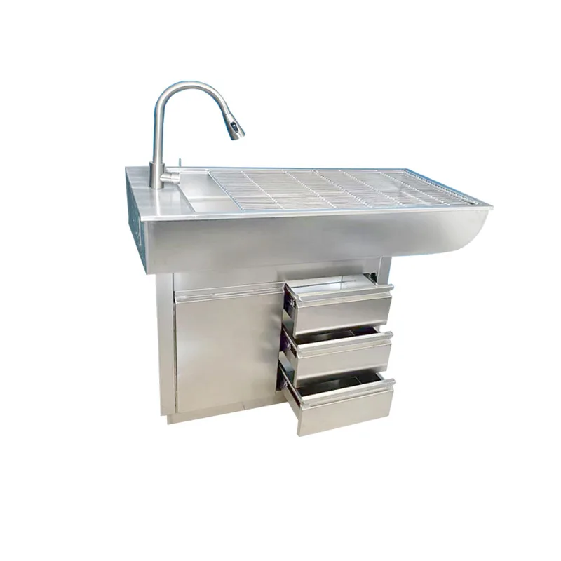 Pet Disposal Table, Special Anti-skid Operation Table for Hospitals and Clinics, Size Function, Dental Cleaning Table