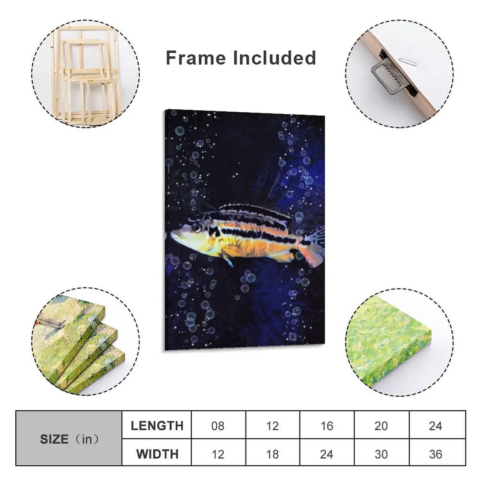 A Female Auratus African Cichlid Canvas Painting painting wall decor wall decoration Decoration wall