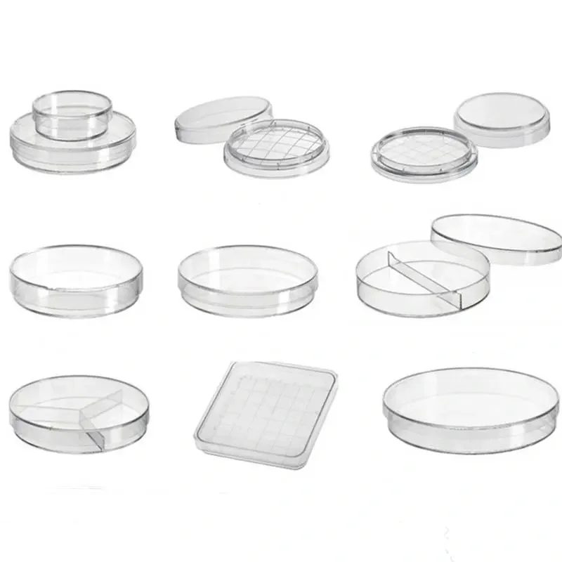 60mm Laboratory Plastic Plastic Petri Dishes Disposable Plastic Cell Petri Dish