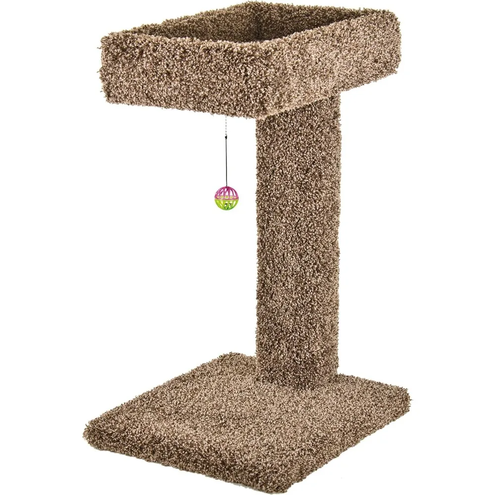 

Ware Kitty Cactus with Toy 24"
