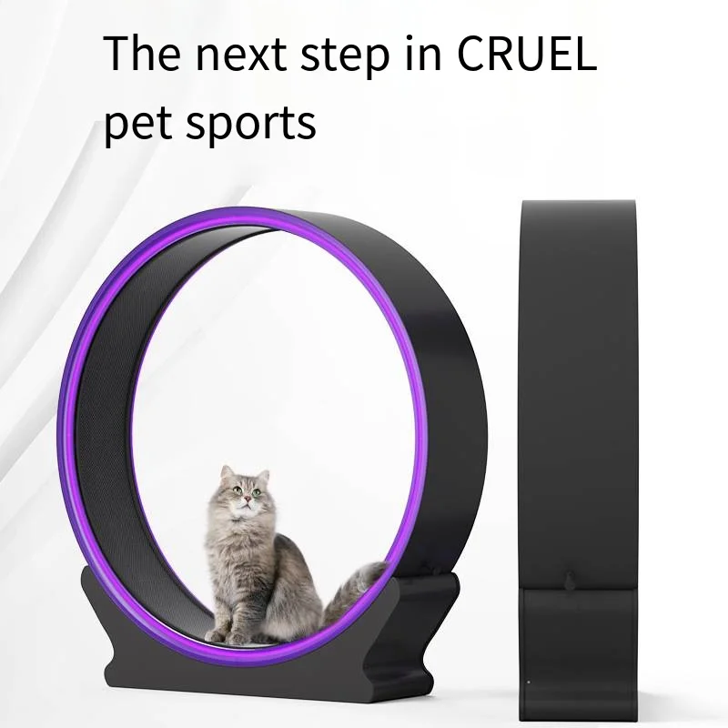 New Cat Toy Treadmill ABS High-end Fashionable Avant-garde Cat Fitness Silent Pet Roller Climbing Frame Cat Toy Treadmill