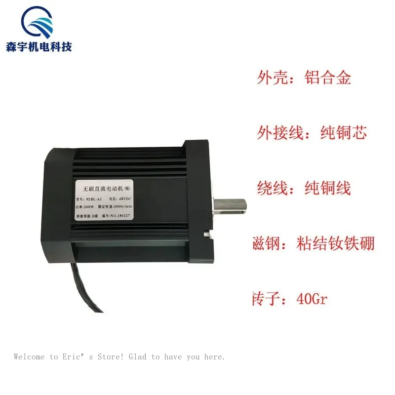 High quality 92BL-A Mechanical Equipment Medical Equipment Financial Special Motor Brushless DC Motor Factory Direct Sales