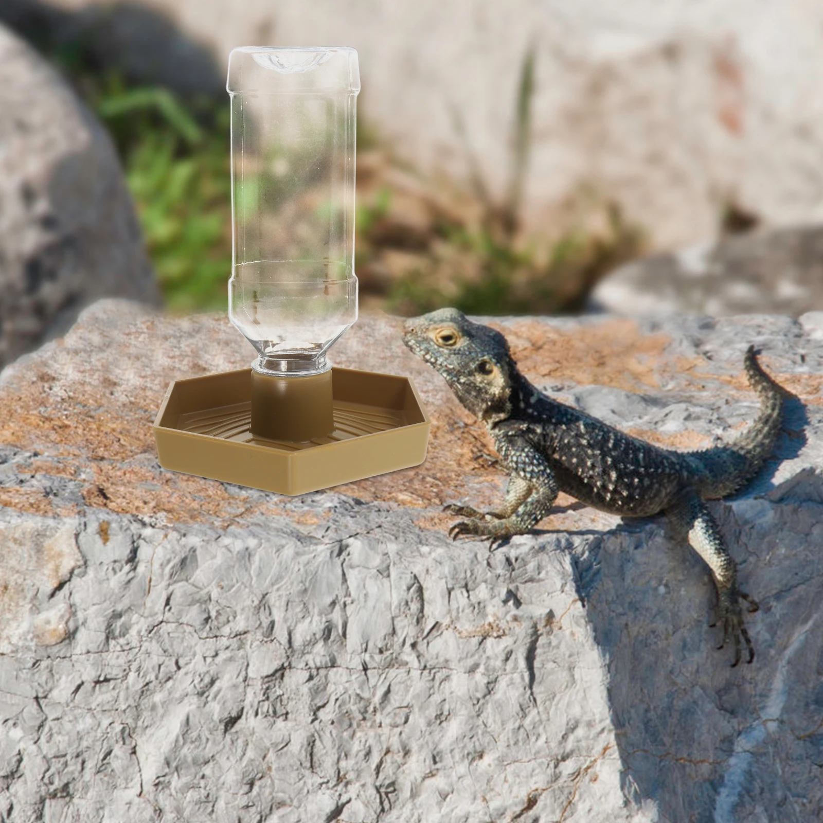 

Automatic Turtle Feeder Reptile Water Bowl Continuous Refill Foodgrade Material Compact Design Safe Drinking Dish for Lizard