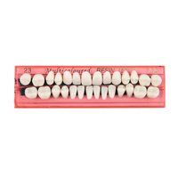 Dental Synthetic Resin Tooth Denture False Teeth For Halloween Horror Teeth
