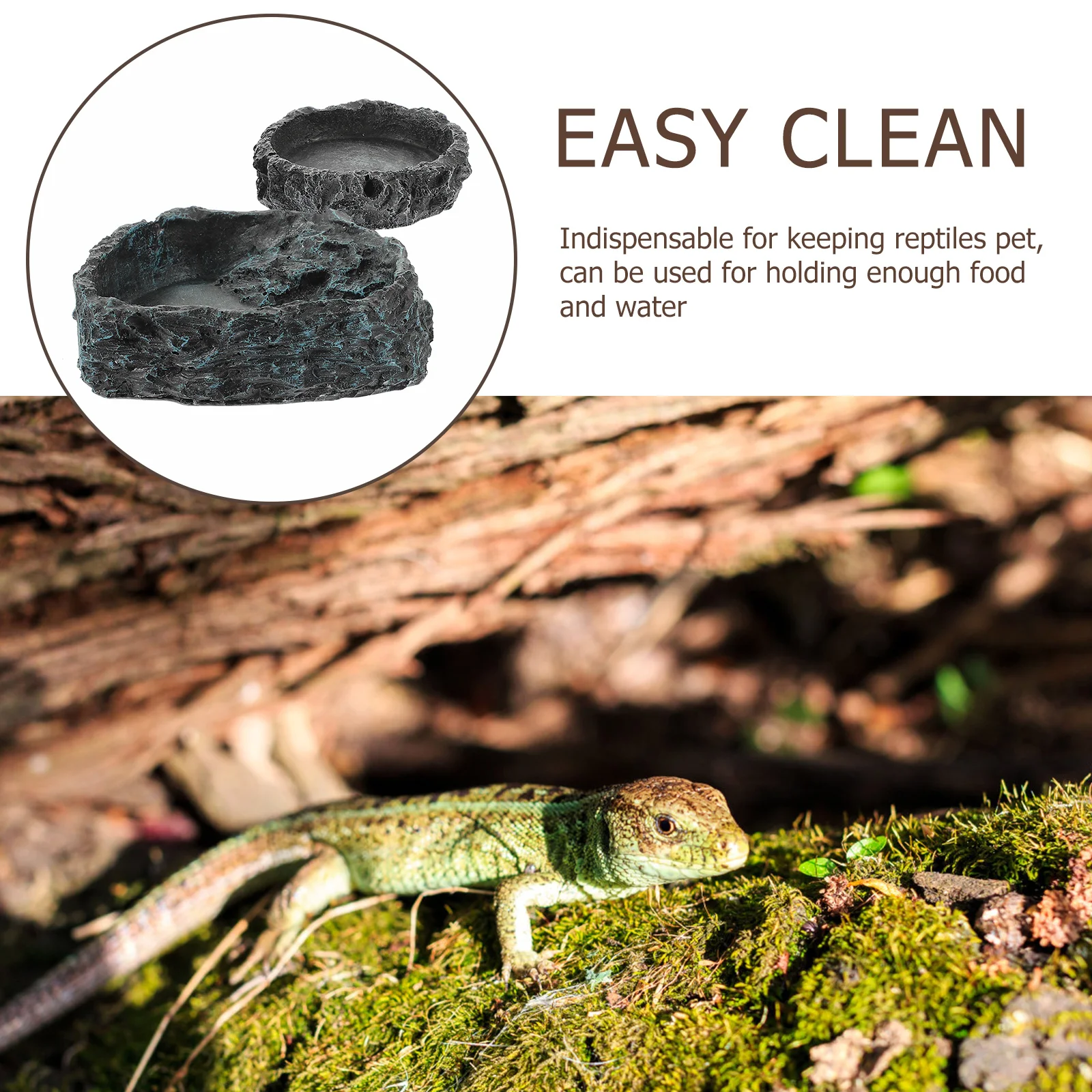 

2Pcs Reptile Food Dish High-Grade Resin Construction Easy to Clean Non-Tip Base Ideal for Food and Water Delicate Reptile Supply