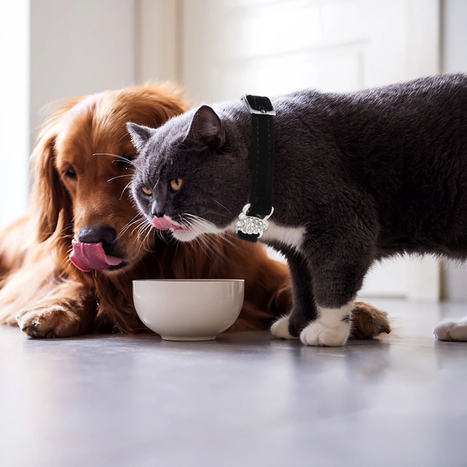 

5 Pcs Adjustable Polyester Cat Collar Rhinestone Bell Color Diamond Choker Kitten Puppy Lightweight Durable Safety Pet Collars