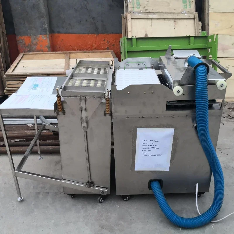 

Hot-selling Automatic Seedling Tray Machine Flower Seed Vegetable Seed Plug Seeding Machine Shed Seedling Machine