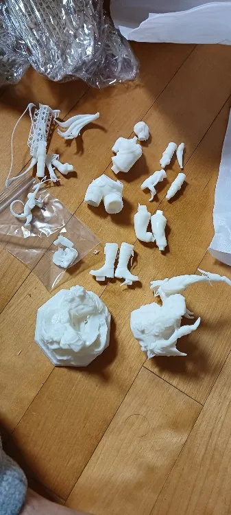 Buyer photo of this resin kit