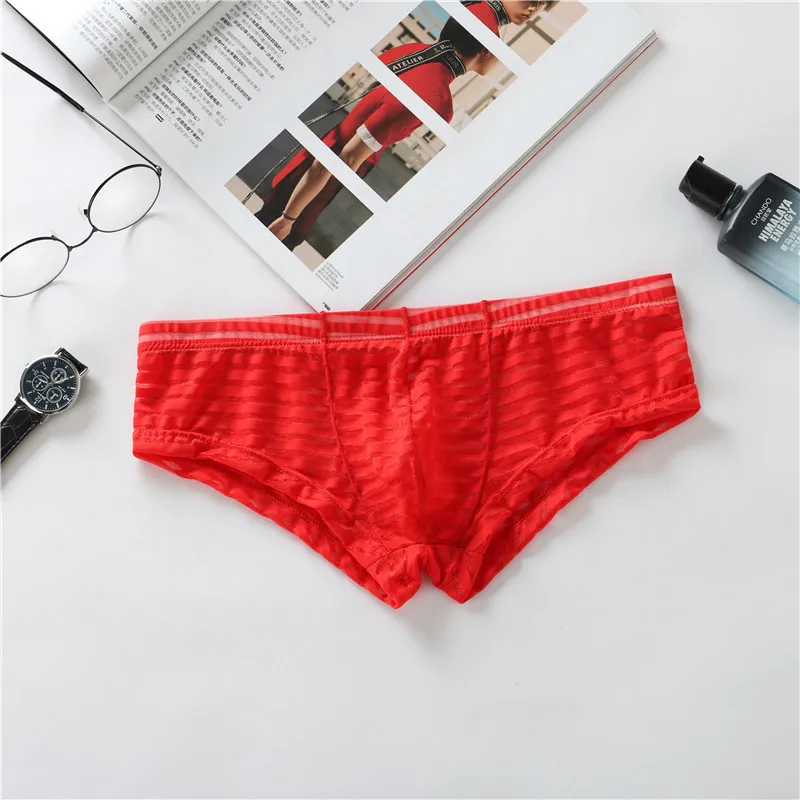 

Men's Striped Micro Bottom Briefs Low Waisted Traceless Mesh Transparent Sexy Ultra Thin Fun Striped Breathable Briefs