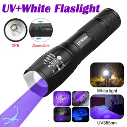 Lampe blanche ultraviolette 2-en-1 Lampe de poche LED rétractable Lampe zoomable UV Détecteur de taches d'urine d'animaux domestiques Outil de chasse en plein air