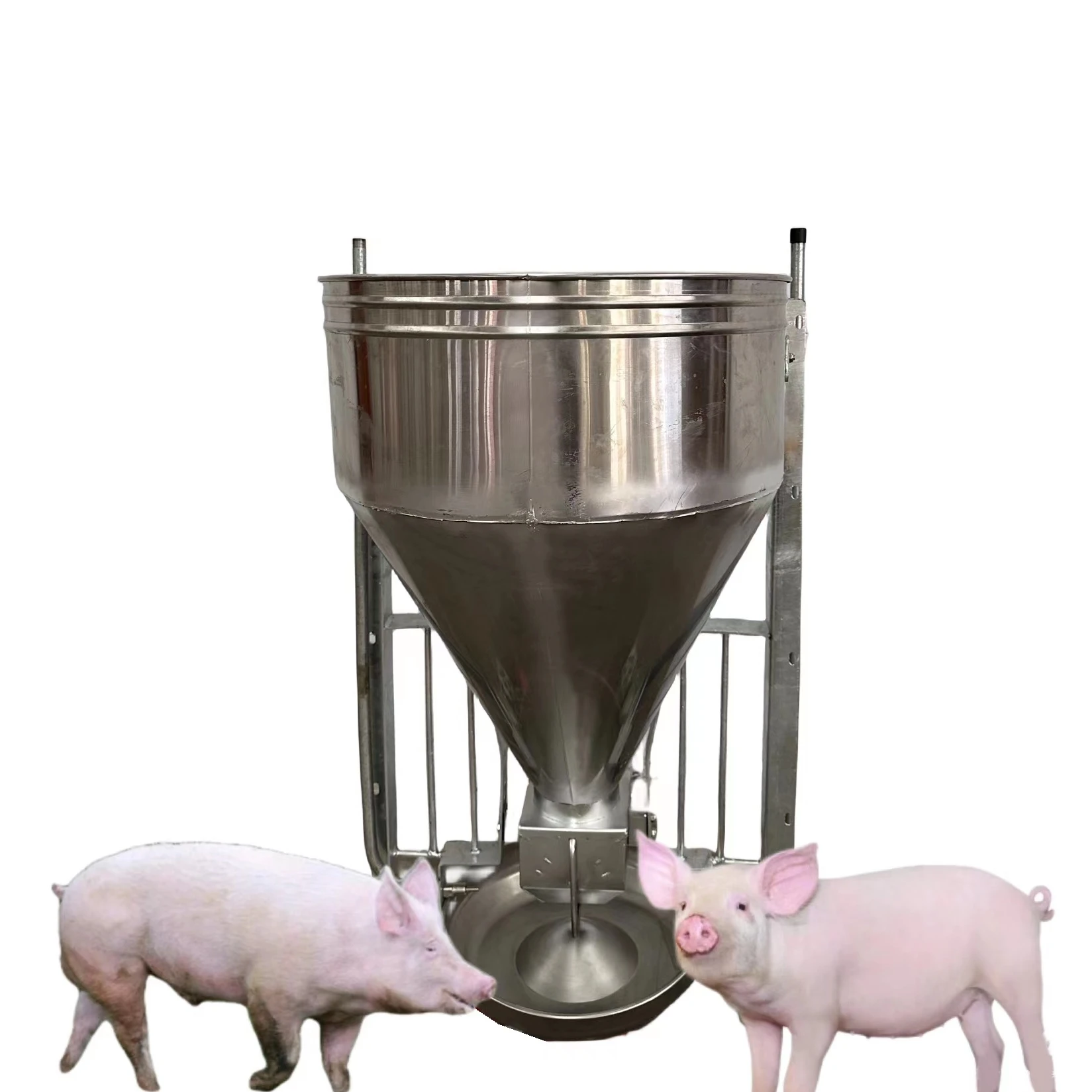 

100kg Stainless Steel Automatic Dry Wet Pig Feeder Automatic Feeder for Pigs Farm Equipment