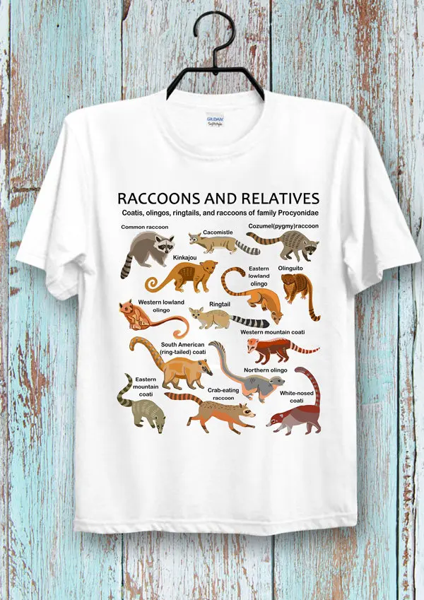 Raccoons Relatives T Shirt Super Cool Ideal Top for Ladies and Gentlemen