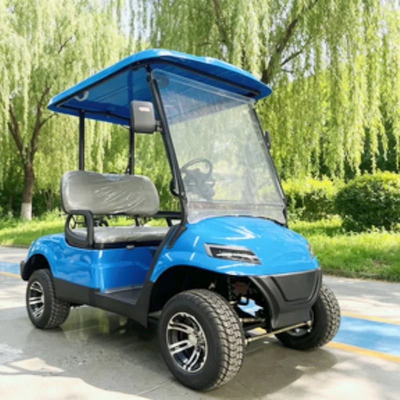 2026 New Model Style 2 Seats Sightseeing Club Cart Electric Golf Cart With 12-Inch Off-Road Tires Side Mirror With Turning Light